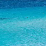 Charming Small Bella Sleeps 4 No Pool Apartment Punta de su Torrione