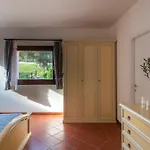 Charming Small Bella Sleeps 4 No Pool Apartment